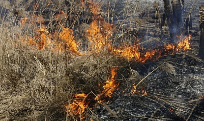 Начались палы травы и увеличилось количество природных пожаров